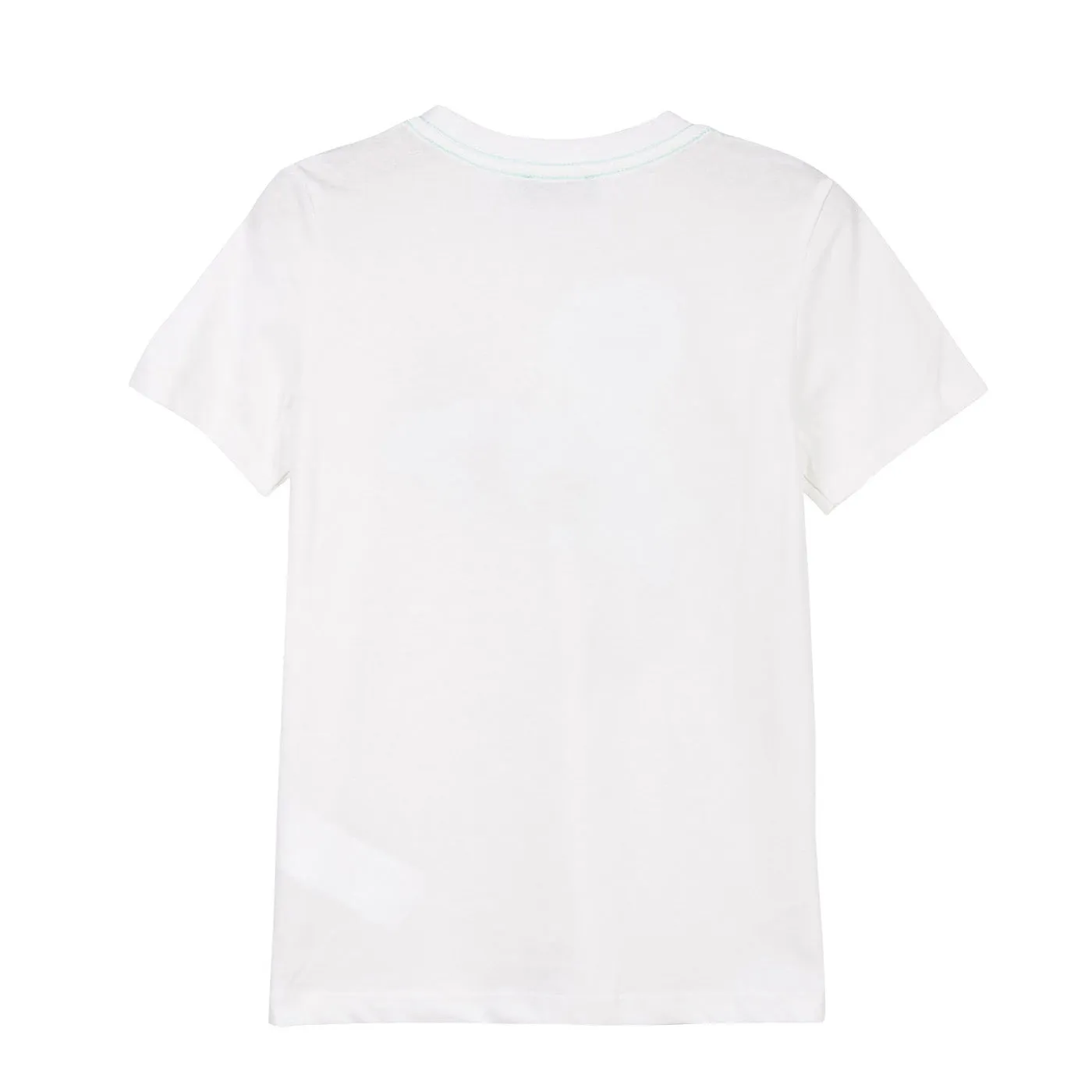 Boys T-shirt with Chameleon Design