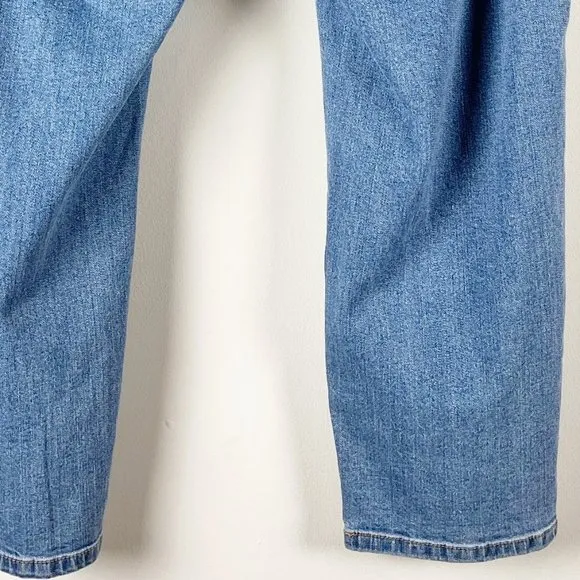 Eloquii Ditressed Jeans 18