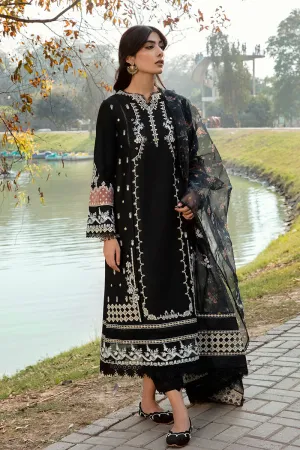 QALAMKAR | Q LINE LAWN'23 | AK-11 SANCHI