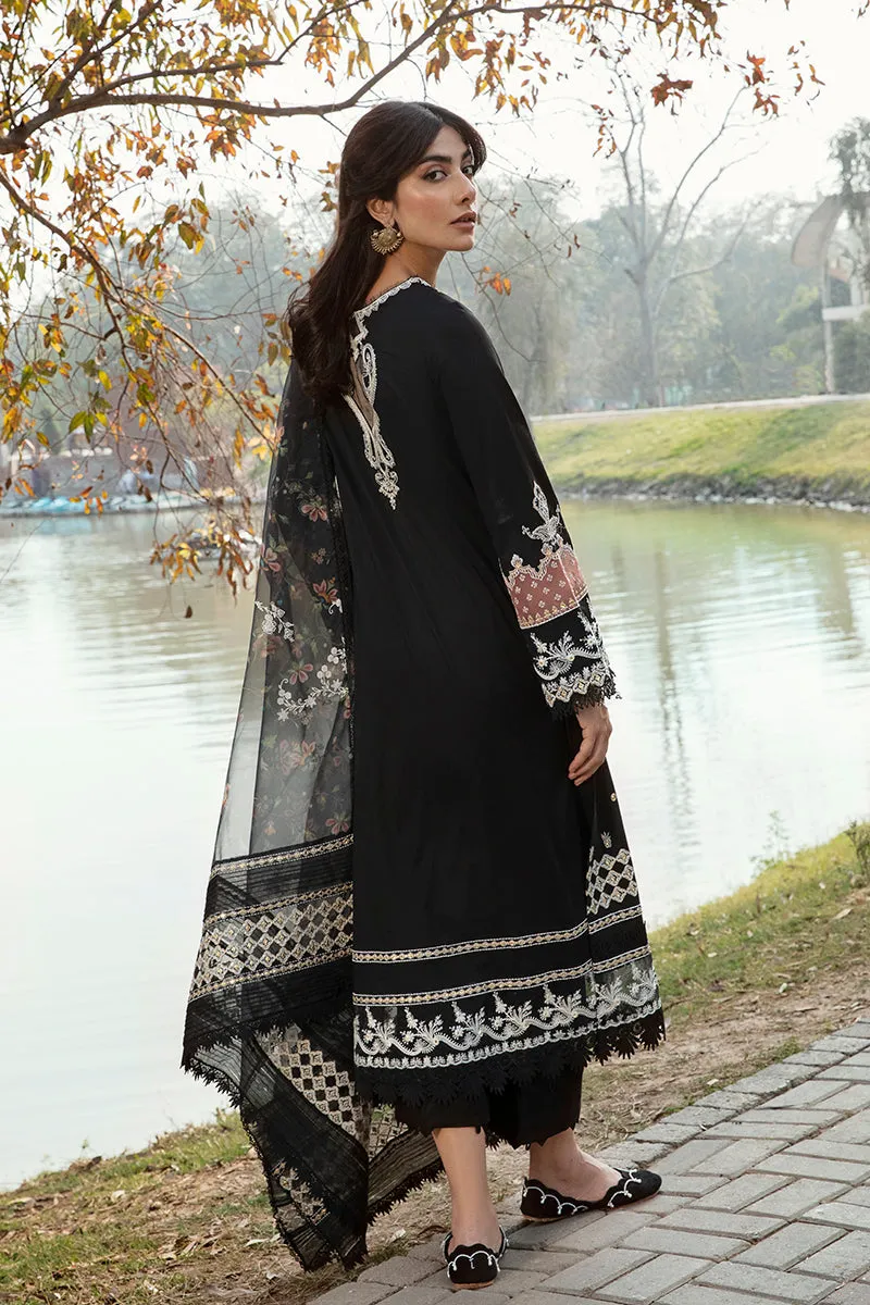 QALAMKAR | Q LINE LAWN'23 | AK-11 SANCHI