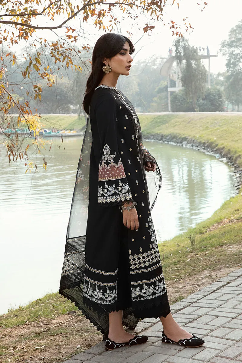 QALAMKAR | Q LINE LAWN'23 | AK-11 SANCHI
