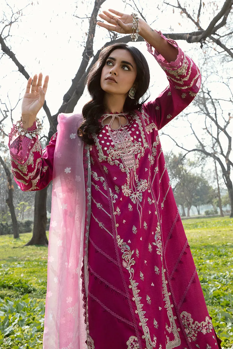 QALAMKAR | Q LINE LAWN'23 | AK-13 LARISA