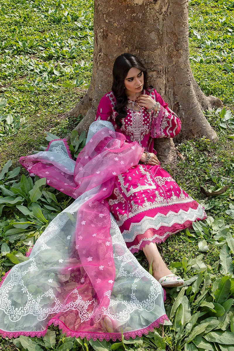 QALAMKAR | Q LINE LAWN'23 | AK-13 LARISA