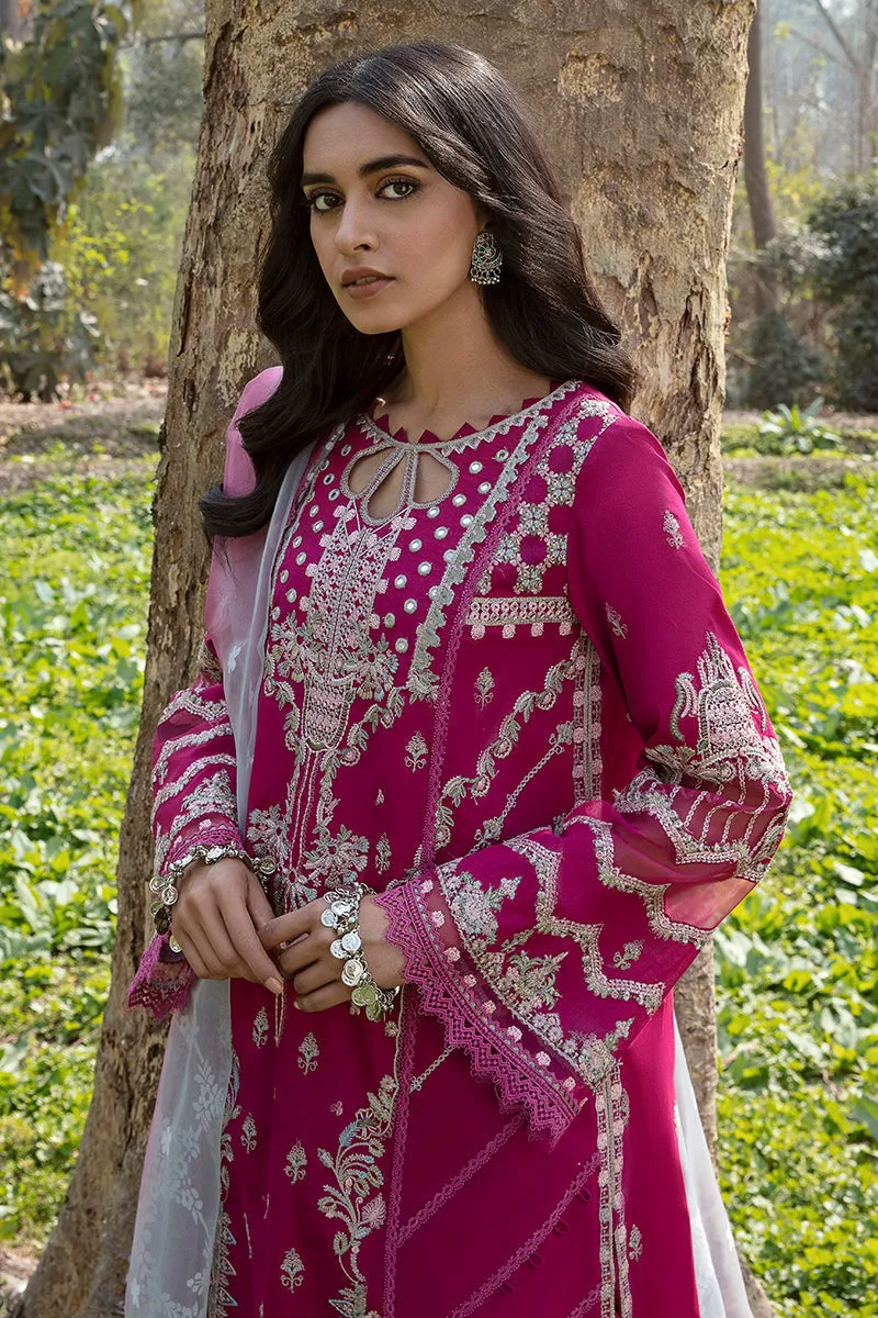 QALAMKAR | Q LINE LAWN'23 | AK-13 LARISA