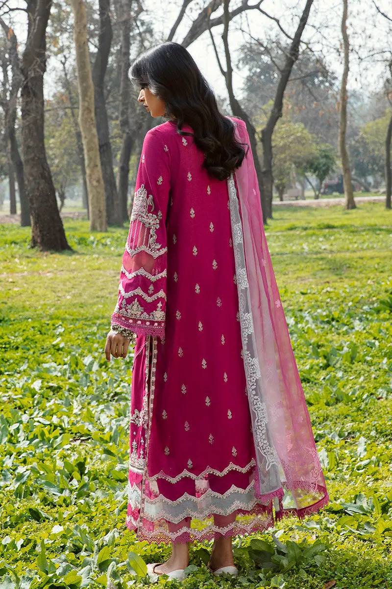 QALAMKAR | Q LINE LAWN'23 | AK-13 LARISA