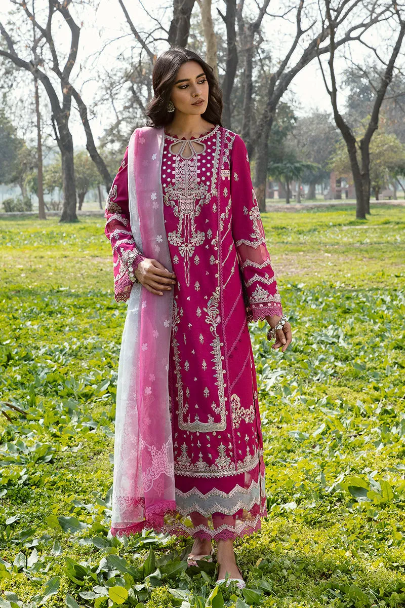 QALAMKAR | Q LINE LAWN'23 | AK-13 LARISA
