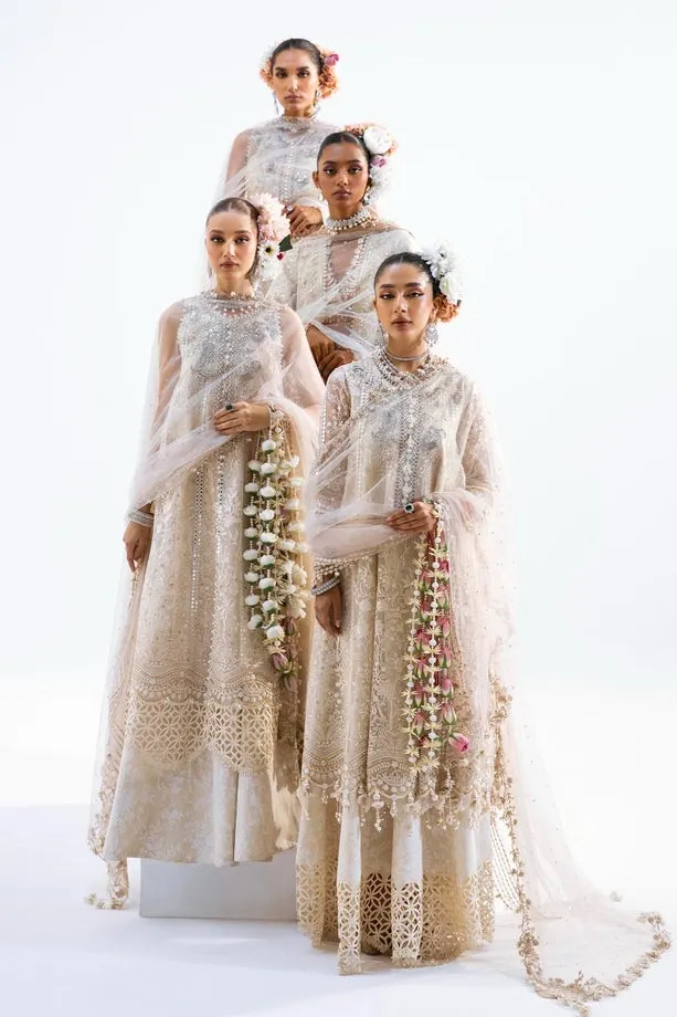 SANA SAFINAZ | NURA - FESTIVE COLLECTION 2023 | VOL 1 - N231-003-CT