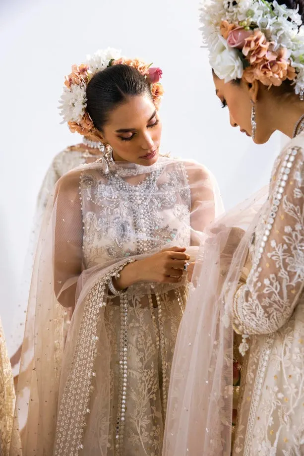 SANA SAFINAZ | NURA - FESTIVE COLLECTION 2023 | VOL 1 - N231-003-CT