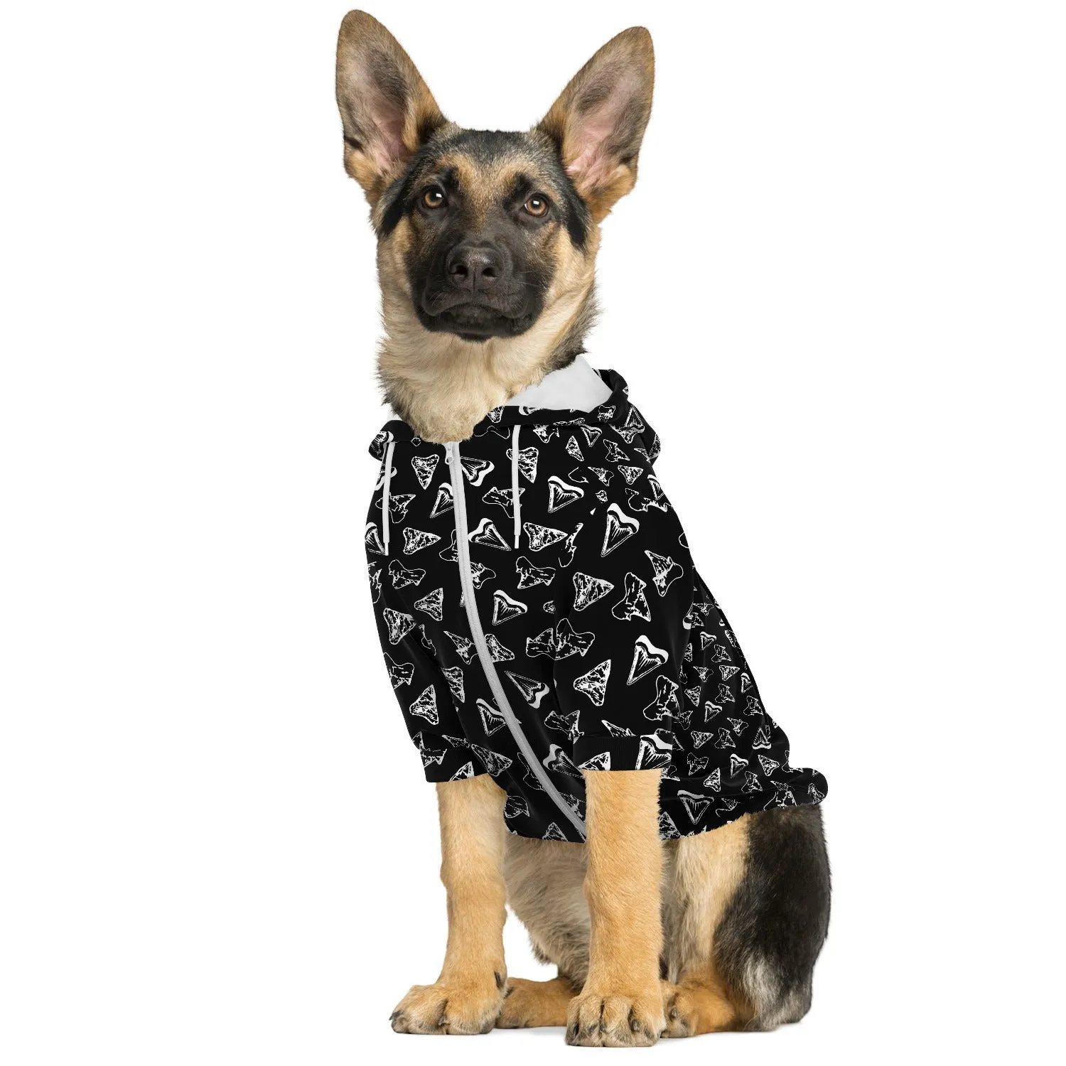 Shark Tooth Hunting Dog