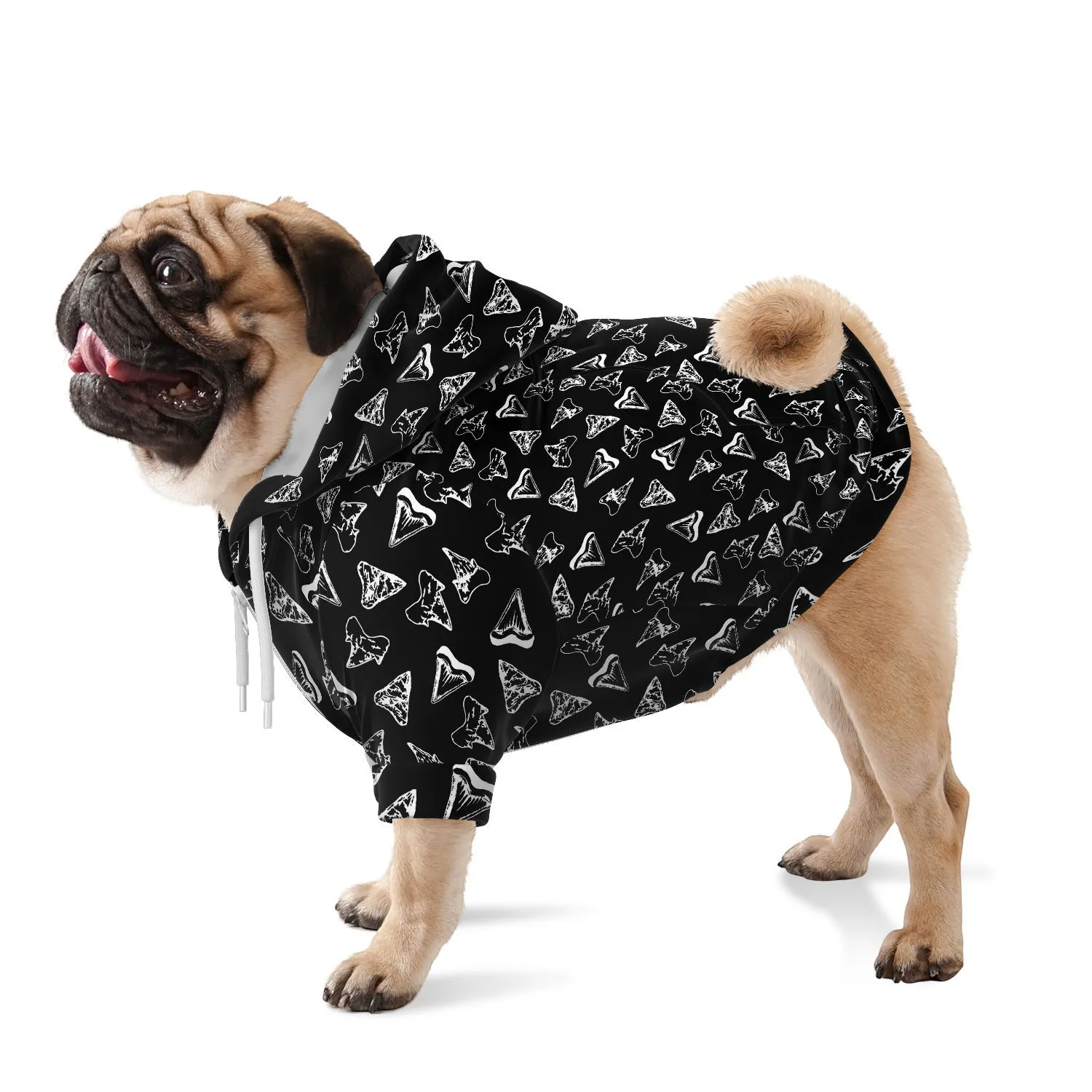 Shark Tooth Hunting Dog