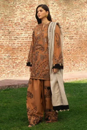 Zara Shahjahan | Winter Collection 2024 | ROYA D6